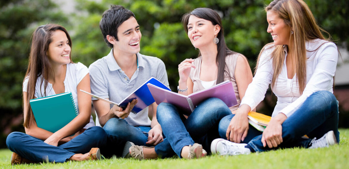 Language Studies International ( LSI )